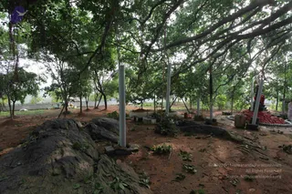 June 05 2010