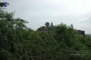 May 20 1989