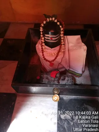 KASHI SARVAJNAPEETAM on 4/11/2022
