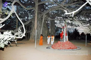 February 25 2007