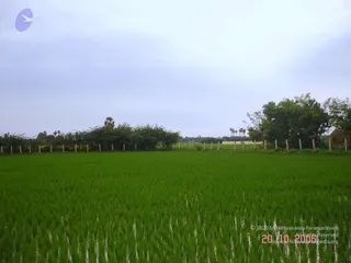 October 20 2006