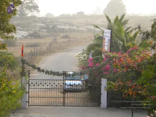 February 04 2010