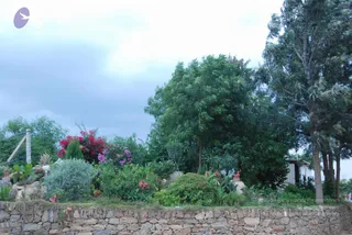 July 09 2010