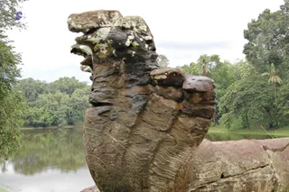 July 01 2007