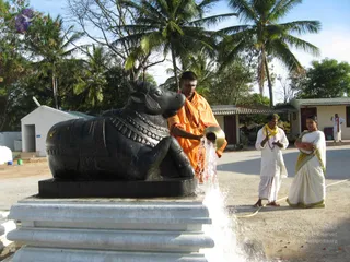 March 05 2008