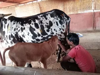 Jan 16 2022 sripuram