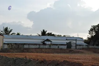 November 20 2008