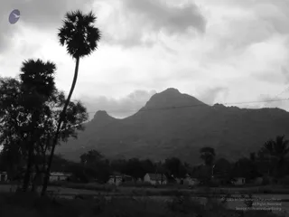 1978 - Tiruvannamalai