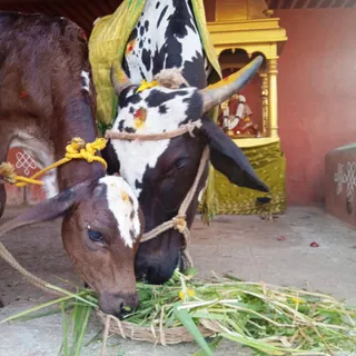 WhatsApp Image 2022-02-01 at 17.11.30 (1).jpeg