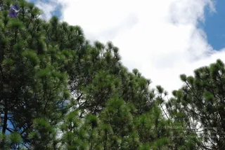July 07 2008