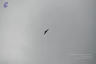 July 01 2009