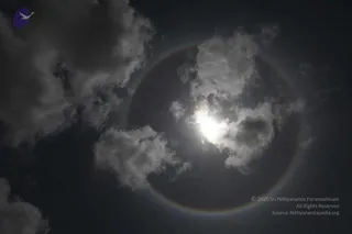 July 11 2010