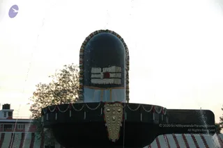 June 09 2009