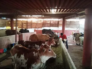 Feb 4 2022 sripuram