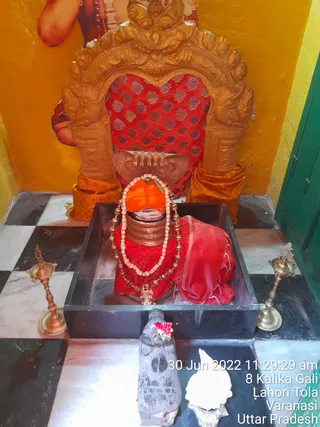 Photo 9919564