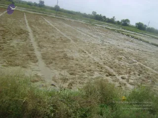 September 2006 - Sindhanur flood relief