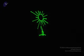 December 29 2008