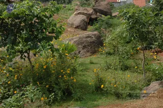 May 20 1989