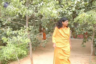 October 25 2006