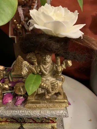 KAILASA LATIN AMERICA on 10/29/2021