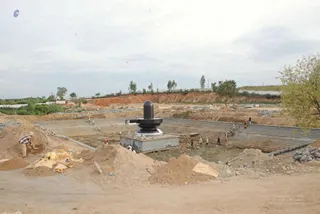 November 19 2008