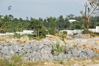 November 20 2008