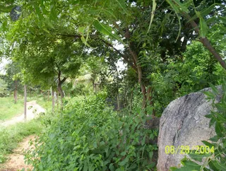 August 28 2004