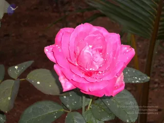 October 01 2010