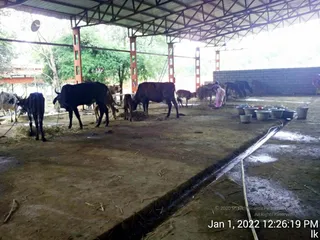 January 01 2022