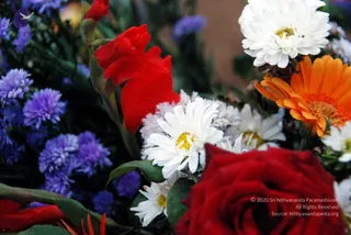 December 16 2010