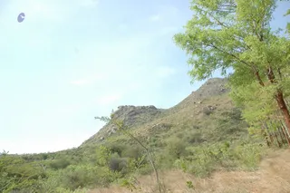 1978 - Tiruvannamalai - InnerGirivala