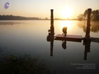 Nithyananda Yoga Poses