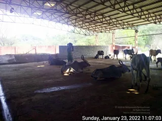 January 23 2022
