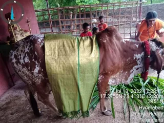 July 13 2022 Sripuram