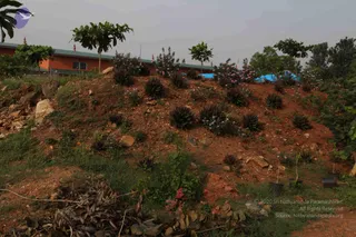 June 05 2010