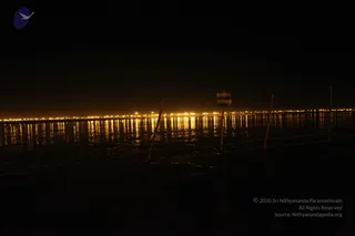 February 08 2013
