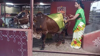 December 26 2021 sripuram Sarvajanpeetam