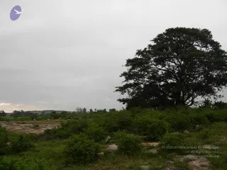 October 01 2006