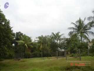 October 30 2006