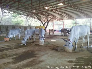 March 31 2022