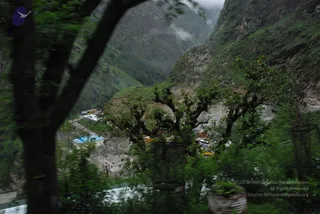 July 08 2008