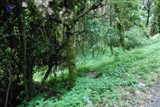 July 07 2008