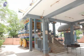 August 08 2009