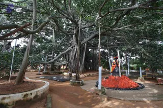 October 24 2010
