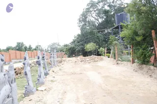 August 11 2011