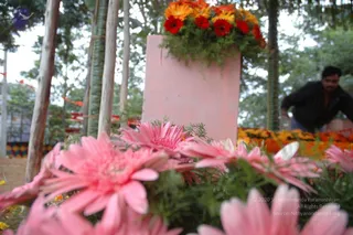 20070809 Photo 2 1KLc-MLwboMzmPI2cYJcLK-wrLe5nn35n.jpg