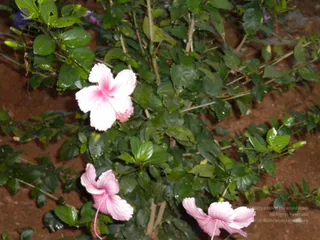 October 01 2010