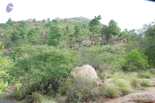 August 03 2008