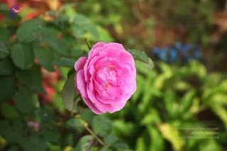 October 28 2010