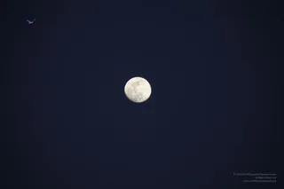 December 08 2011